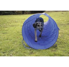 Hund im blauen Hunde-Agility-Tunnel auf Rasen
