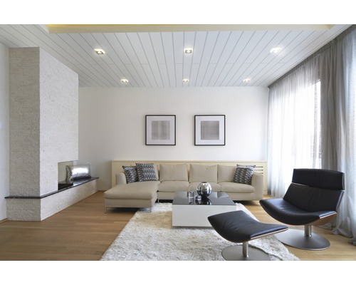 Dekorpaneel Vario Plus Ultra weiß Nullfuge 10x150x2600 mm Wohnzimmer mit Sofa, Sessel, Teppich und Kamin