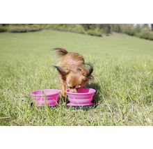 Reise Futternapf Hund Kiwi Travel Double Bowl grün 16,5 x 4,5 cm für unterwegs