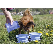Reise Futternapf Hund Kiwi Travel Double Bowl grün 16,5 x 4,5 cm für unterwegs