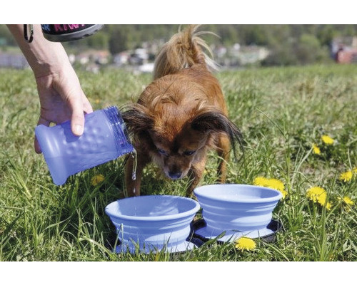 Hund trinkt aus tragbarer Wasserschale auf einer Wiese