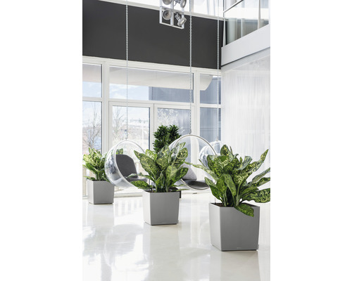 Intérieur lumineux avec des plantes dans des jardinières et des fauteuils suspendus.