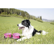 Reise Futternapf Hund Kiwi Travel Double Bowl grün 16,5 x 4,5 cm für unterwegs