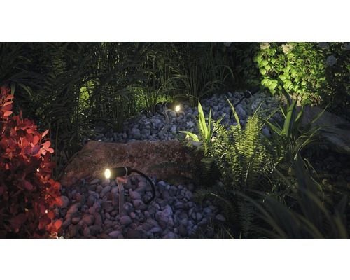 Scène de jardin avec plantes, pierres et luminaires d''extérieur