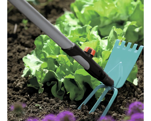Outil de jardin pour travailler le sol dans une plate-bande avec des salades