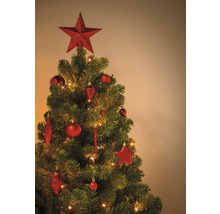 Geschmückter Weihnachtsbaum mit Christbaumschmuck und Sternspitze