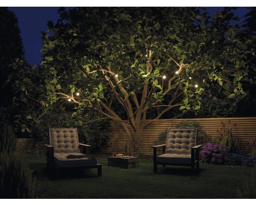 Jardin de nuit avec arbre illuminé et mobilier de jardin