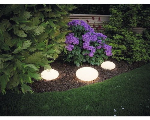 Aménagement paysager de jardin avec plantes et éclairages de jardin ronds