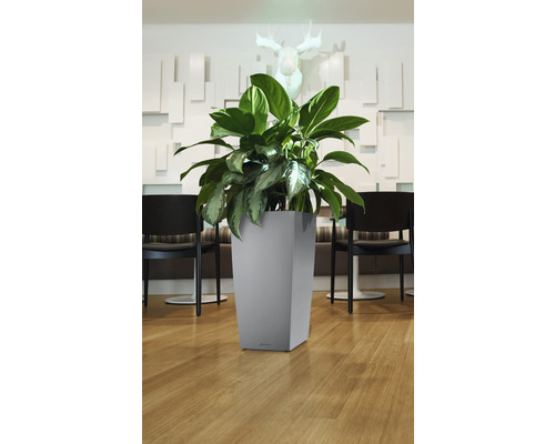 Plante dans un pot de fleurs carré gris à l''intérieur.