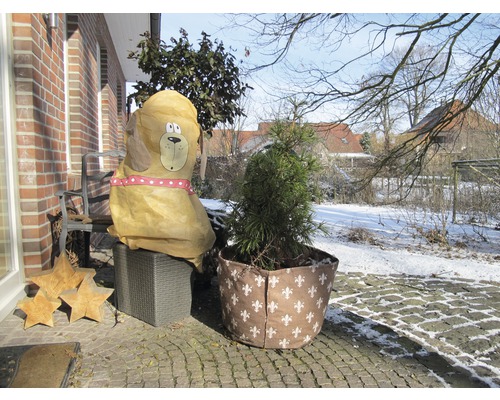 Paysage hivernal avec housse de protection des plantes en forme de chien et protection pour pot de fleurs