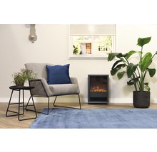 Wohnzimmer mit Sessel, Kissen, Tisch, Zimmerpflanzen, Elektrokamin und Teppich
