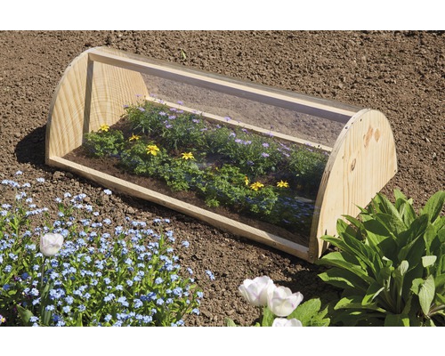 Frühbeet aus Holz und Kunststoff mit Pflanzen im Gartenbeet.
