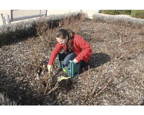 Une femme agenouillée dans un jardin taille des roses avec un sécateur, soutenue par un banc de jardin.