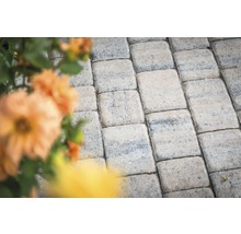 Pavés en béton posés dans le jardin