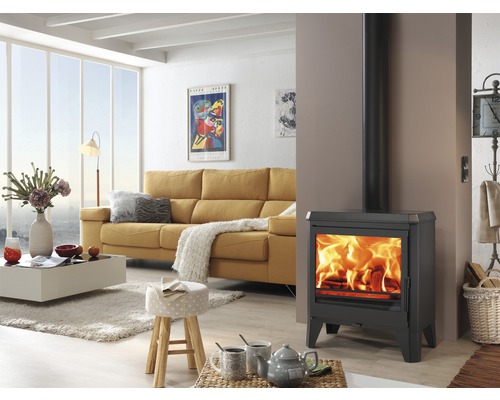 Salon avec poêle à bois, canapé et table basse