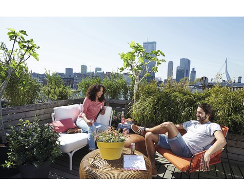 Personen entspannen auf einer begrünten Dachterrasse mit Stadtblick.