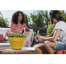 Szene im Freien mit einem Topf mit Sukkulenten auf einem Tisch, während zwei Personen sich unterhalten.