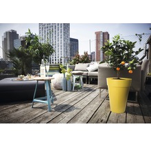 Terrasse mit Sitzgruppe, Tisch und Topfpflanzen vor Hochhaus