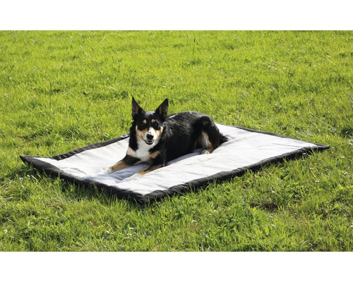 Chien allongé sur un tapis pour chien dans l''herbe