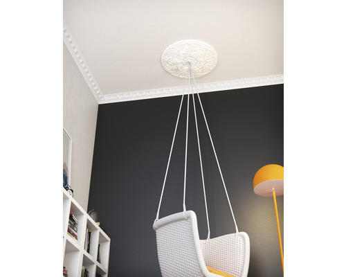 Pièce avec rosace de plafond, moulure et fauteuil suspendu