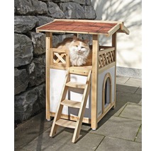 Katze in Katzenhaus mit Leiter und Dach