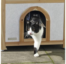 Eine schwarz-weisse Katze kommt aus einem Katzenhaus mit Klappe.