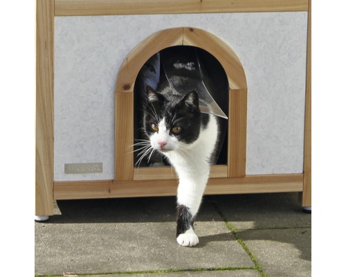 Eine schwarz-weisse Katze kommt aus einem Katzenhaus mit Klappe.
