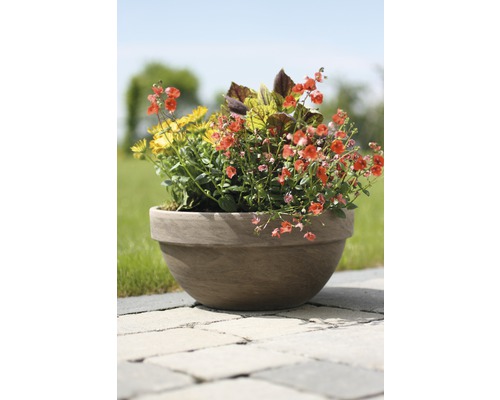 Blumen in einem Topf im Garten