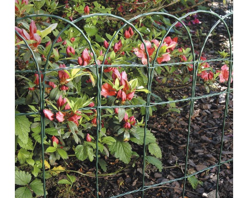Ziergeflecht KAISERTHAL Bogen 10 m x 90 cm grün Dekorativer grüner Gartenzaun aus Metalldraht vor blühenden Pflanzen.