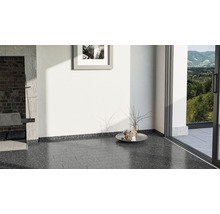 Intérieur avec sol foncé, mur blanc et tableau