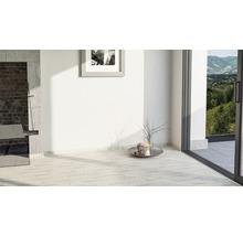 Plinthe SKANDOR Havanna brillant FOFA871 FU60L 19 x 58 x 2400 mm