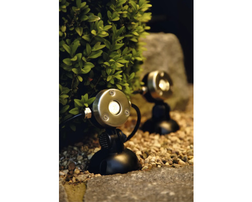 Deux projecteurs de jardin illuminent un buisson et une pierre