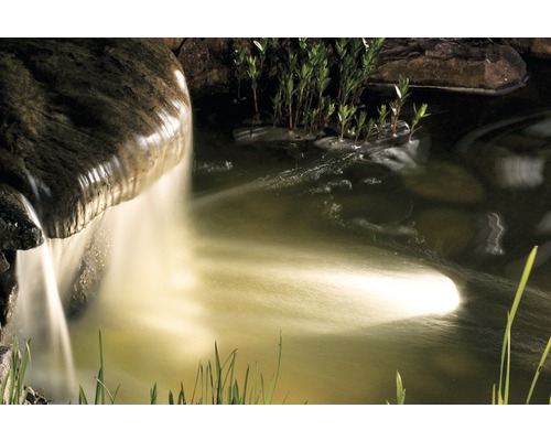 Gartenteich mit Wasserfall und Uferbepflanzung