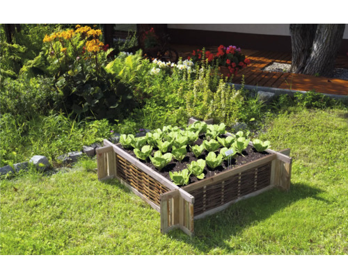 Hochbeet aus Holz mit Salatpflanzen im Garten
