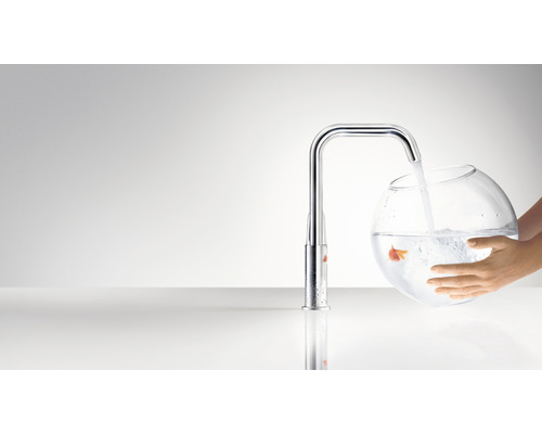 Küchenarmatur mit Wasserstrahl und Fischglas