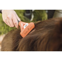Une personne brosse le pelage d''un chien avec une brosse pour animaux.