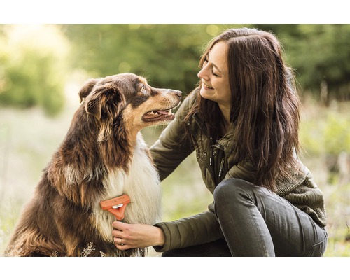 Femme brosse un chien avec une brosse de toilettage