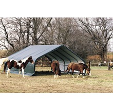 Abri pour chevaux en extérieur avec plusieurs chevaux.
