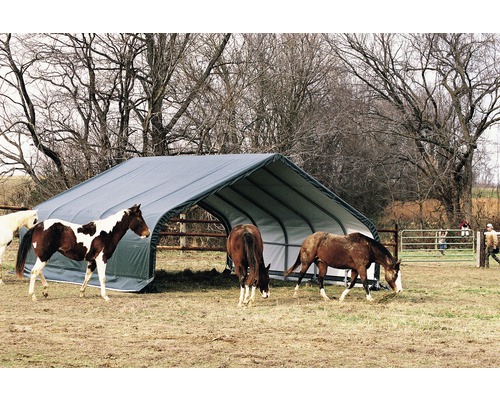 Abri pour chevaux en extérieur avec plusieurs chevaux.