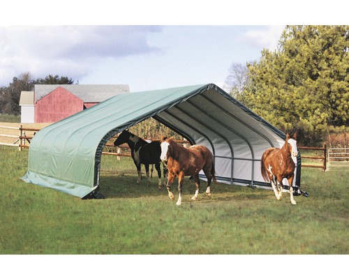 Abri pour chevaux avec trois chevaux dans un pré