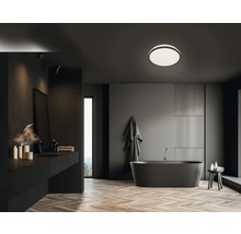 Plafonnier salle de bain LED IP44 12W 1200 lm 4000 K blanc neutre hxØ 70x280 mm Acotus noir-thumb-0