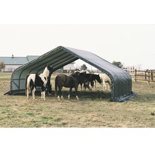 Abri pour chevaux avec plusieurs chevaux dans un pré