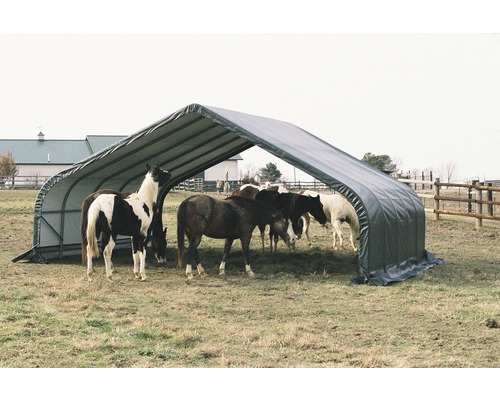 Abri pour chevaux avec plusieurs chevaux dans un pré