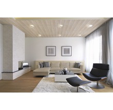 Panneau décoratif Quadro Plus Alaska bouleau 12x200x1200 mm