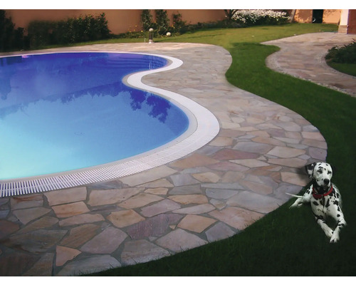 Aussenpool mit Steinumrandung und Dalmatiner im Garten