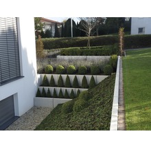 Terrassierter Garten mit Ziersträuchern und Rasenfläche.