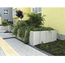 Gestaltung eines Aussenbereichs mit Pflanzkästen aus Beton, bepflanzt mit verschiedenen Grünpflanzen