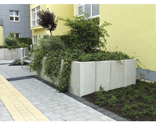 Aménagement extérieur avec des bacs à plantes en béton, plantés de diverses plantes vertes
