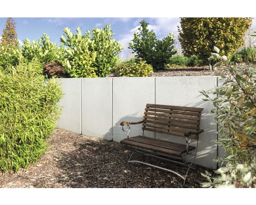 Scène de jardin avec un mur en béton, des arbustes plantés et un banc en bois