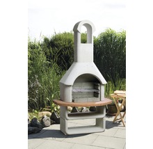 Cheminée de barbecue de jardin en pierre avec table en bois et étagère